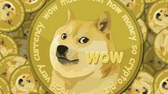 What is DOGE