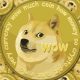 What is DOGE