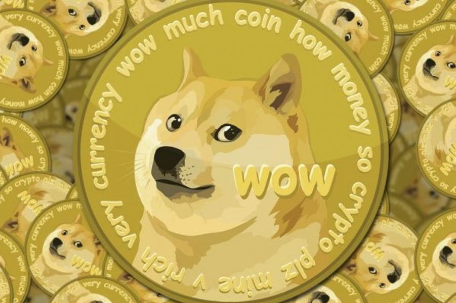 What is DOGE